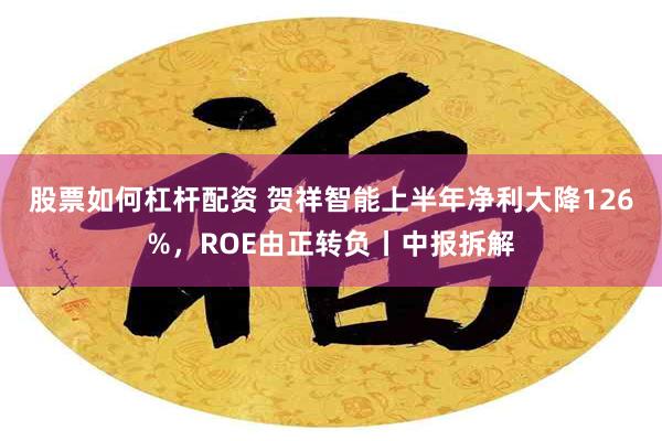 股票如何杠杆配资 贺祥智能上半年净利大降126%，ROE由正转负丨中报拆解