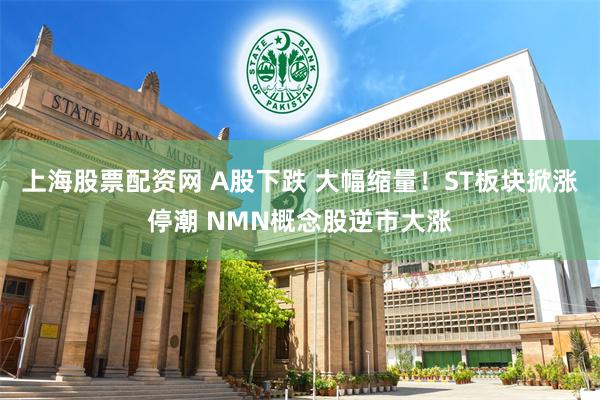 上海股票配资网 A股下跌 大幅缩量！ST板块掀涨停潮 NMN概念股逆市大涨