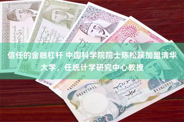 信任的金融杠杆 中国科学院院士陈松蹊加盟清华大学，任统计学研究中心教授