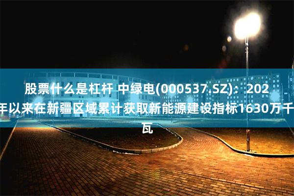 股票什么是杠杆 中绿电(000537.SZ)：2024年以来在新疆区域累计获取新能源建设指标1630万千瓦