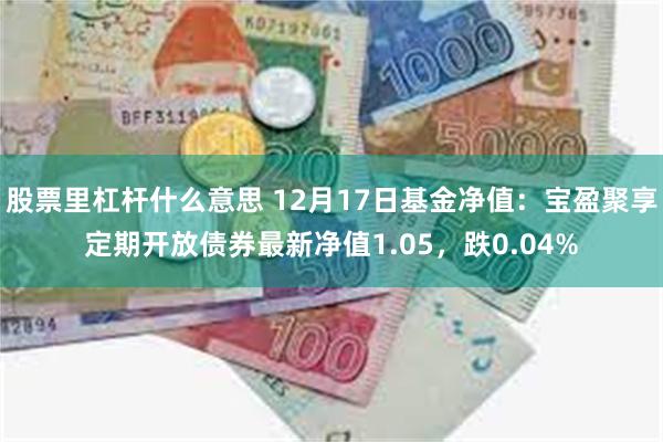 股票里杠杆什么意思 12月17日基金净值：宝盈聚享定期开放债券最新净值1.05，跌0.04%