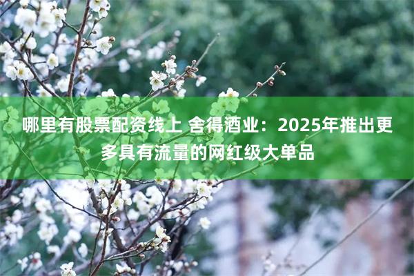 哪里有股票配资线上 舍得酒业：2025年推出更多具有流量的网红级大单品