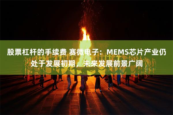 股票杠杆的手续费 赛微电子：MEMS芯片产业仍处于发展初期，未来发展前景广阔