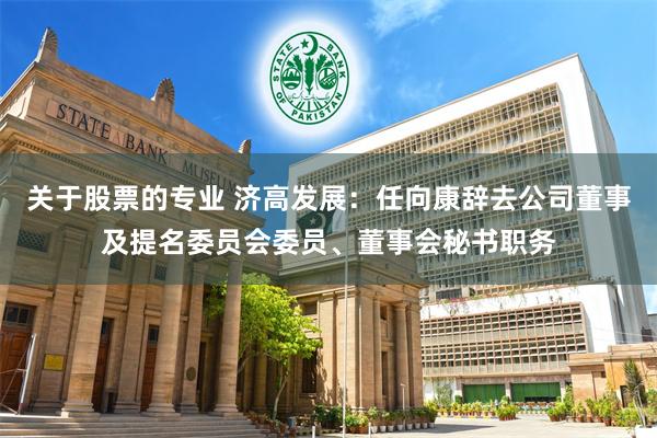 关于股票的专业 济高发展：任向康辞去公司董事及提名委员会委员、董事会秘书职务